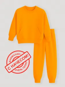 ������ ������ 3016�, ���������